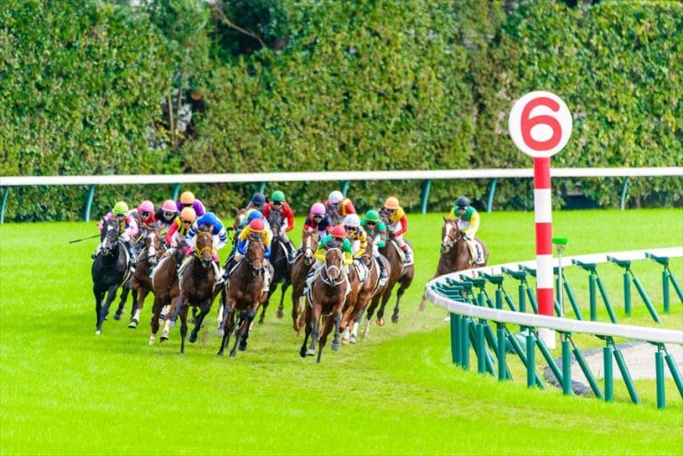 東京競馬予想☆小頭数で的中目指します オッズ無視の人気に左右されない予想をしています☆ イメージ1