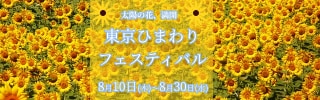 WEBバナー作成を格安で作ります 分かりやすくかつご要望に応じたバナーを作成します。 イメージ6