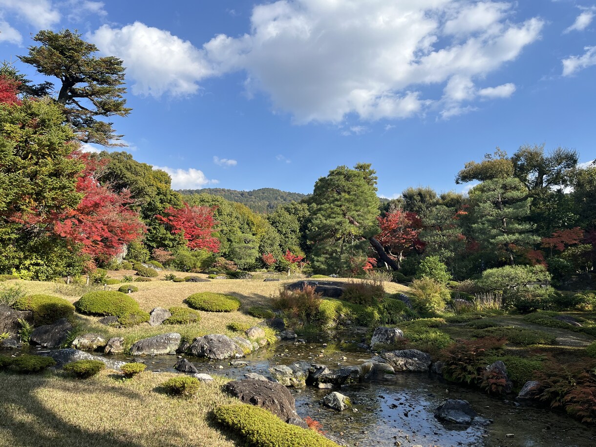 ゆるむ対話で心を整えます がんばらなくていい安心の時間です イメージ4