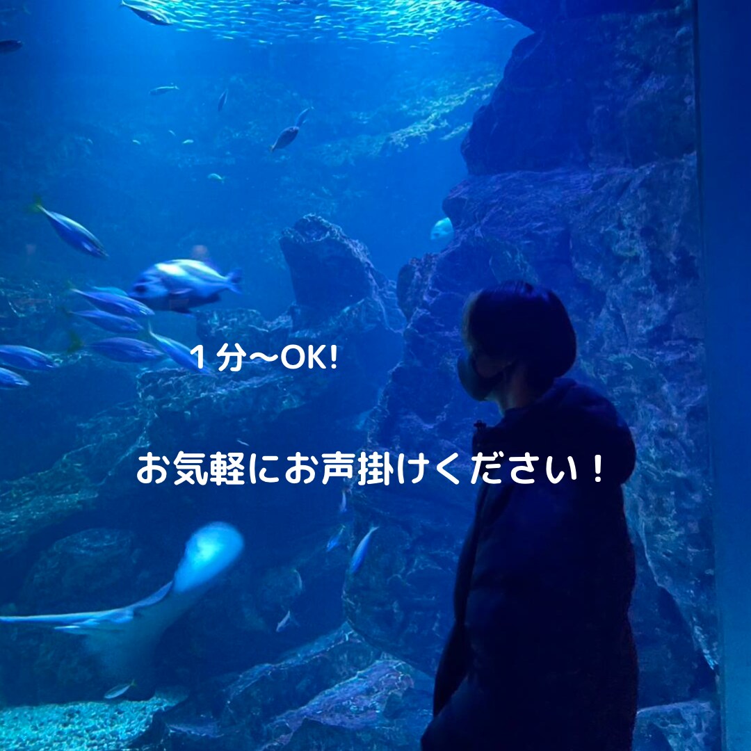 相談や愚痴、雑談も！どんな話もお受け止めします 落ち着いた大学生にお話ししてみませんか？ イメージ1