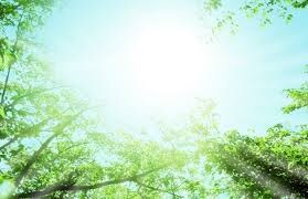 あなたの人生を劇的に変えます 何をしてもダメだった方☆生活を一変させましょう イメージ2
