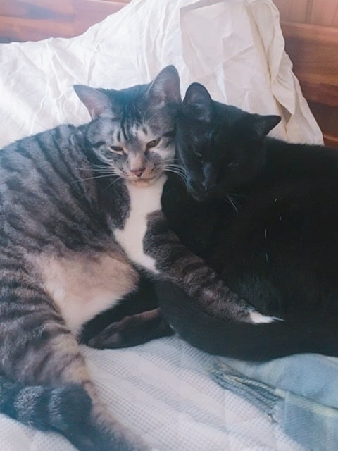 どんな話題でもオッケー！あなたのお話相手になります ☺︎ココロをポカポカにしたいのです♡ イメージ2