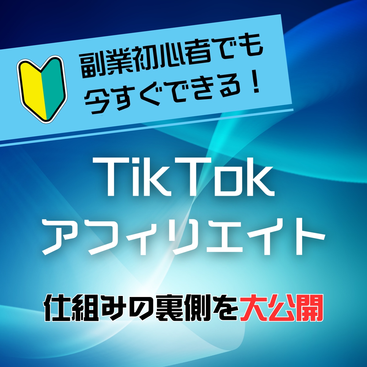 ニッチな副業TikTokで稼ぐノウハウを暴露します 編集スキル・顔出し・声出し必要なし！ノウハウの裏側を公開！ イメージ1