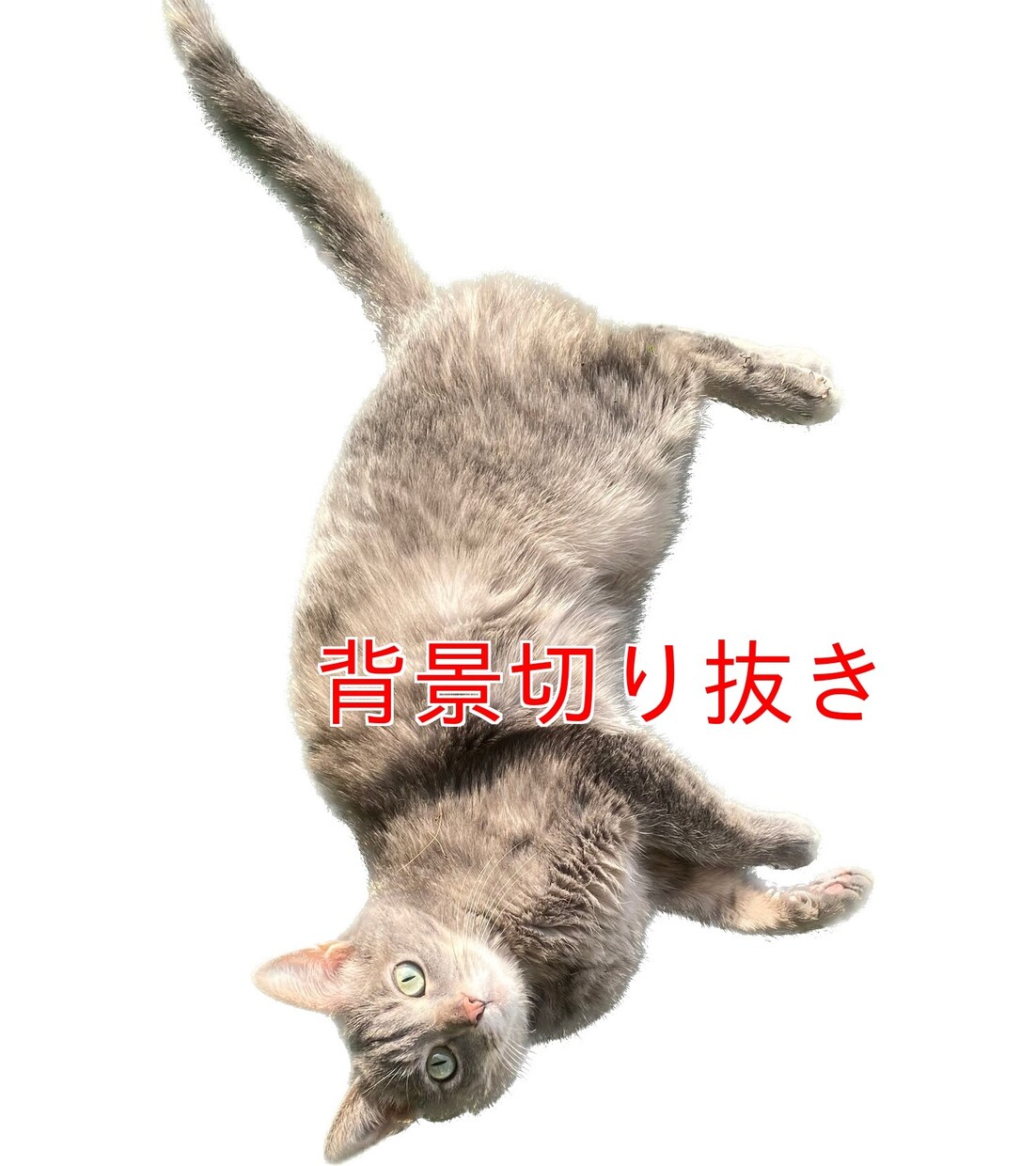 画像の修正、加工をいたします ！　ペットの写真、集合写真などお気軽にご相談ください♪ イメージ4