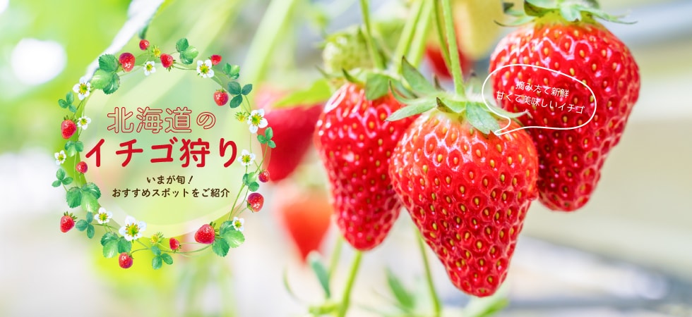 おしゃれなサムネイル・バナー・SNS画像作ります 集客を目指す！商品画像・Webサイトにも使えるデザイン制作 イメージ7