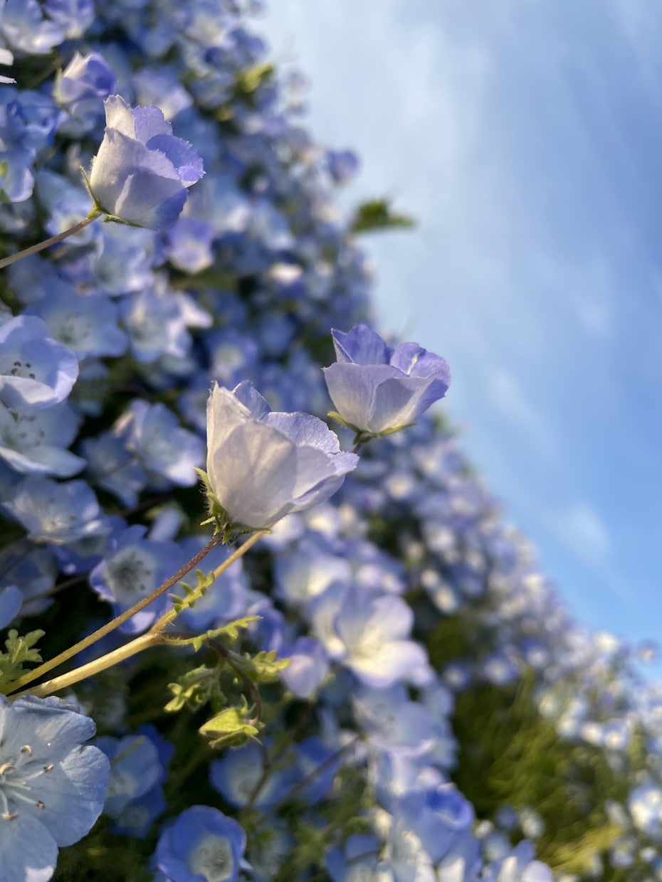 気持ちを否定せず、静かにお話を聴きます 答えを押しつけず、気持ちに寄り添います イメージ1