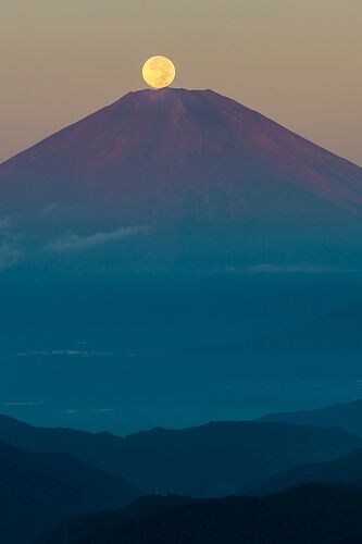 心の鎮痛剤 イメージ1