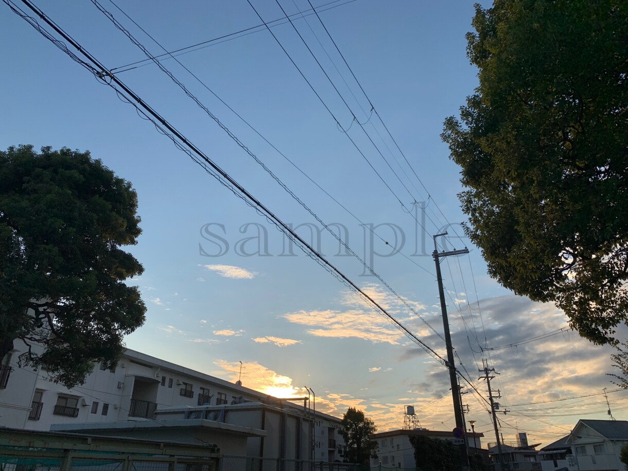 あなたの撮った写真をモノクロにします ポートレイトや風景写真、ペットの写真など普段と違った印象に イメージ3