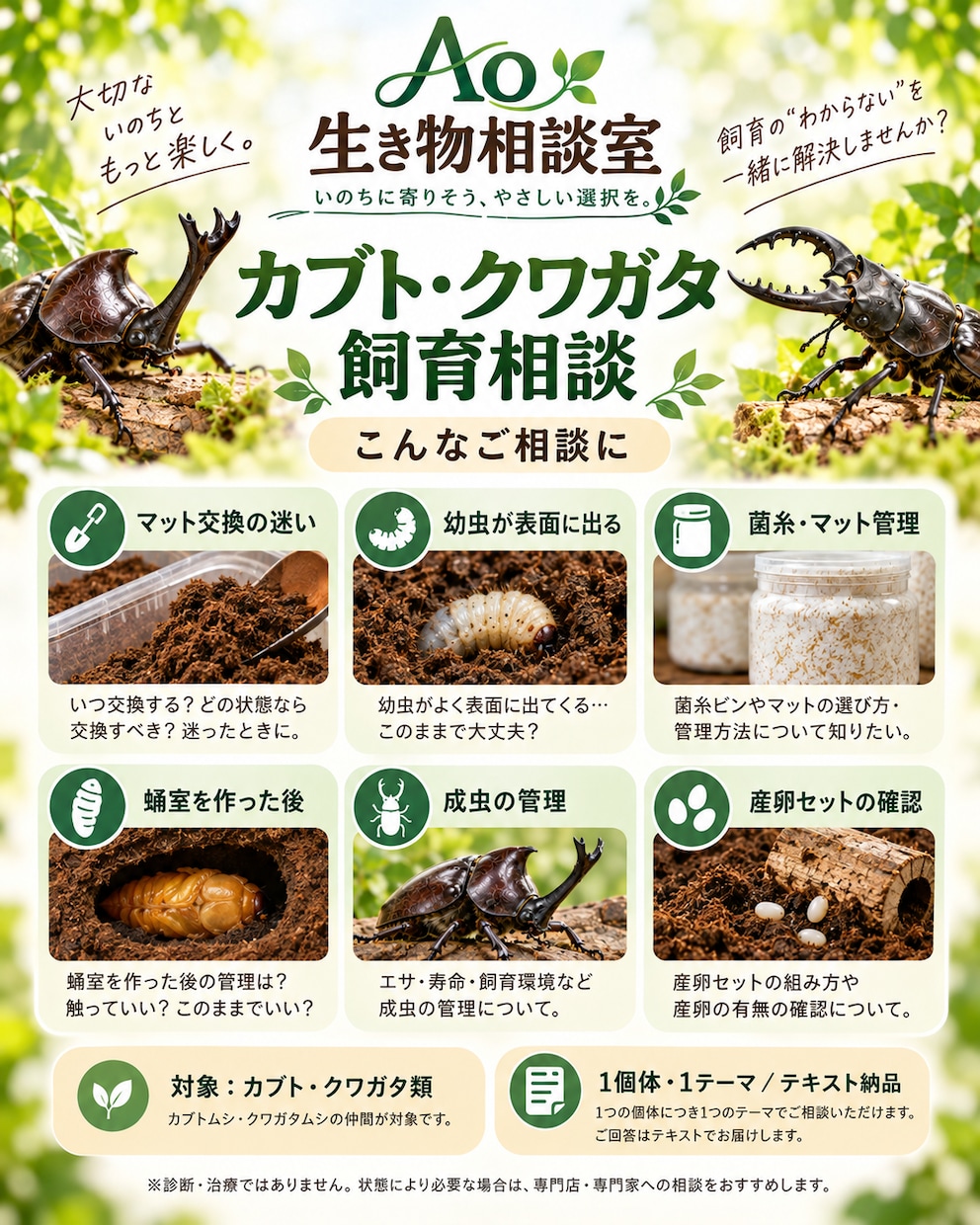 カブトムシ・クワガタの飼育の迷いを整理します 1ケース・1テーマ1,000円｜次の確認事項を整理 イメージ2