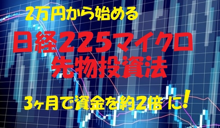 日経２２５先物投資法ノウハウご提供します ●２万円から始められ、デモで試していただく手法をご提供します イメージ1