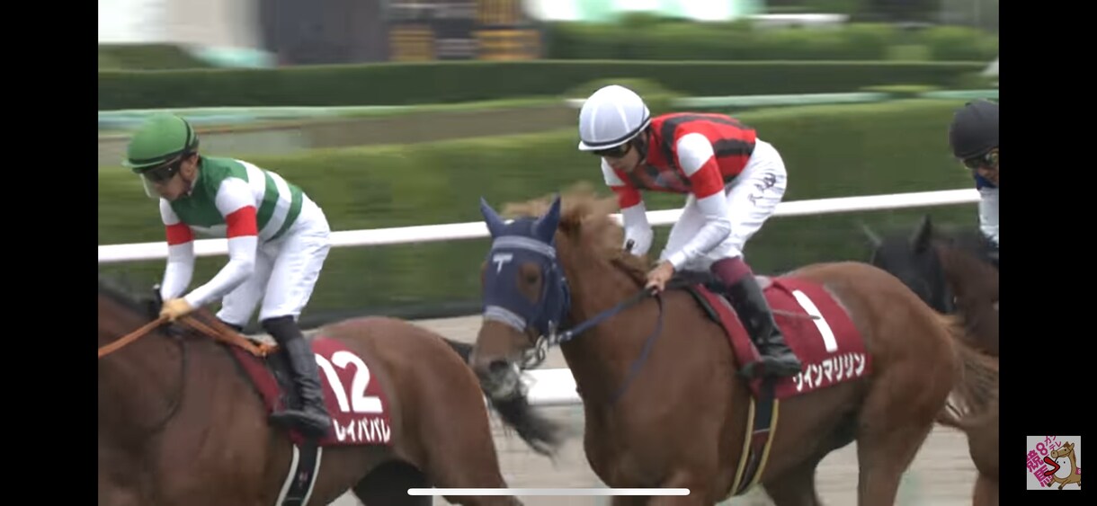 競馬の独自の見解と本命馬、推奨馬予想します あなたの予想を手助けします。展開から予想してます地方競馬も。 イメージ3