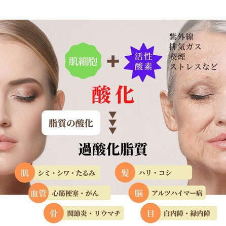 40〜50代のための若さのエッセンスを教えます 経験豊富な男性セラピストが教える 美と健康の秘訣 イメージ1