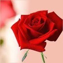 今のあなたに最も影響を与えている前世をお伝えします きっと今のあなたの状況が理解できるようになります イメージ1