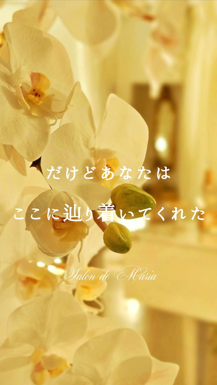 女性限定｜今すぐ聞いてほしいあなたに寄り添います 【お悩み相談】恋愛/復縁/不倫/モラハラ/人間関係/愚痴 イメージ5