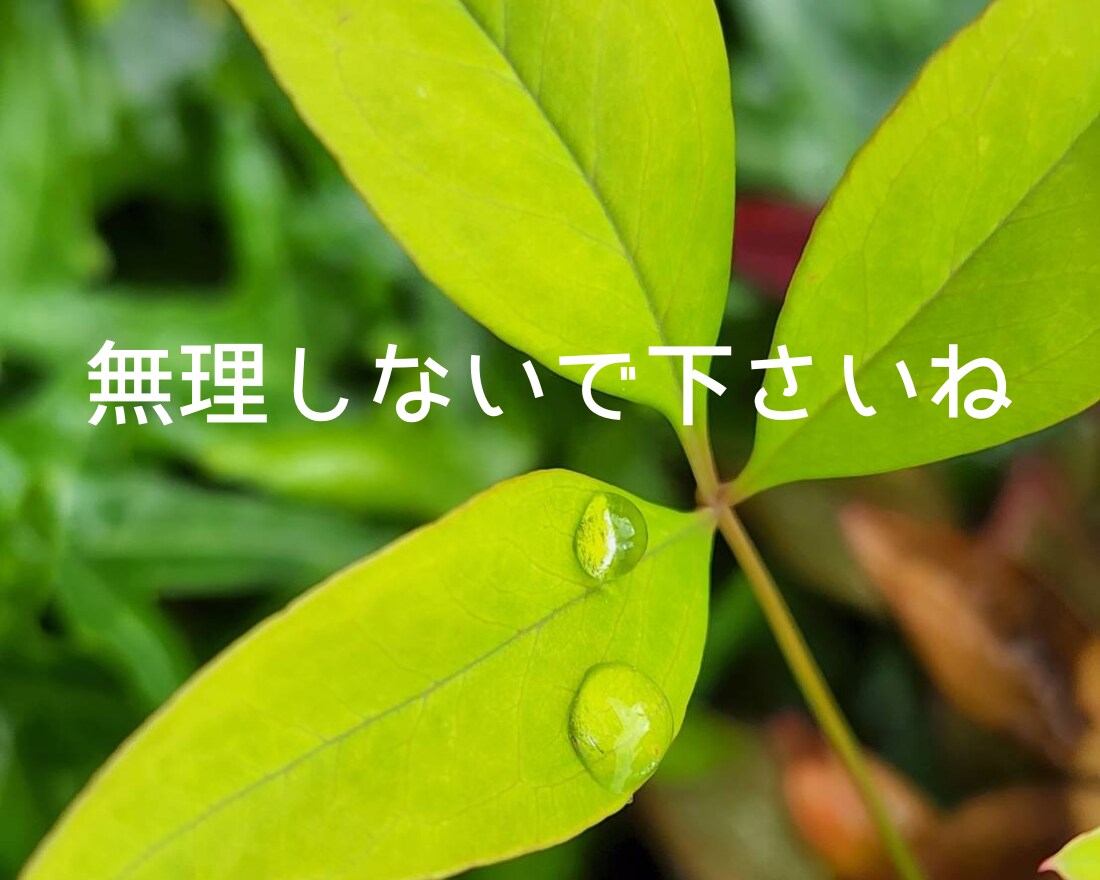今話しましょ☆頑張ってるあなたの気持ちお聞きします 介護士が全力応援☆心の声に傾聴☘️愚痴☘️雑談☘️仕事☘️ イメージ3