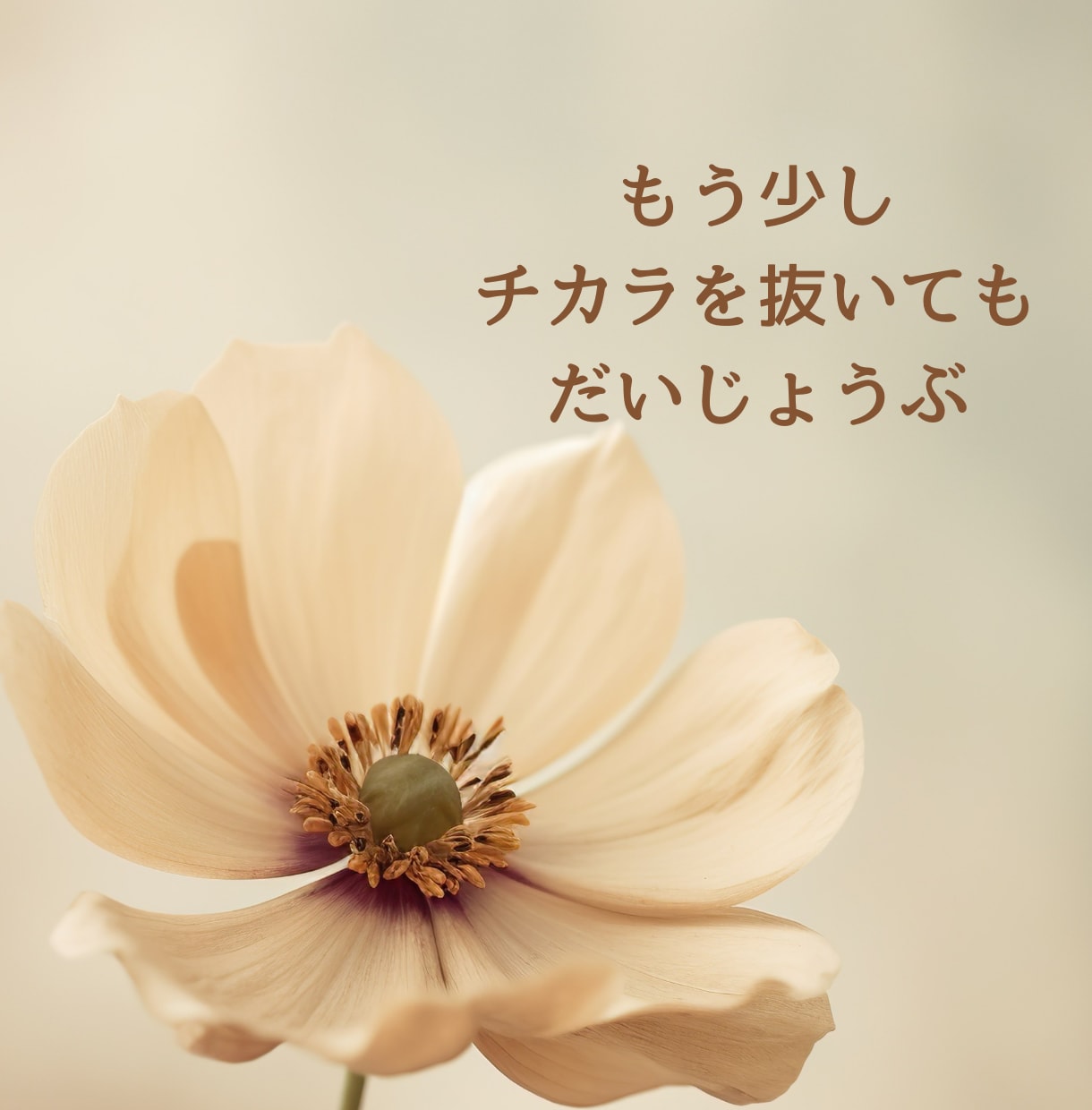自分を責めてしまう心にそっと寄り添います ☆☆安心して本音を話せる対話で、心をそっとほどきます☆☆ イメージ2