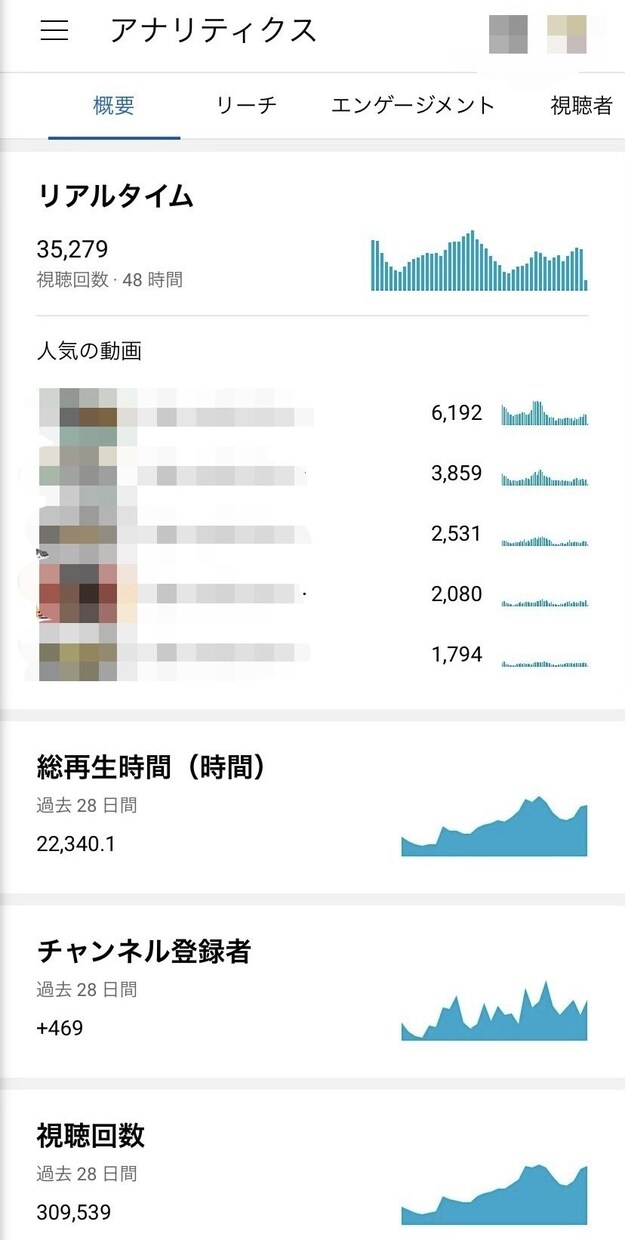 再生回数10万回の動画出した私が力になります YouTubeで稼ぎたい・もっと動画を伸ばしたい人限定 イメージ2