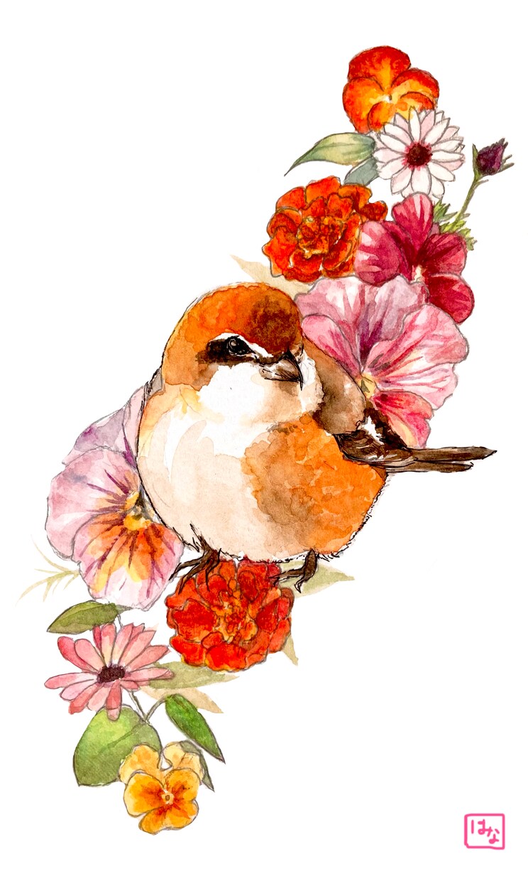 あなたのペット/好きな動物を描きます インテリアや思い出残しに！(アナログ水彩画) イメージ3