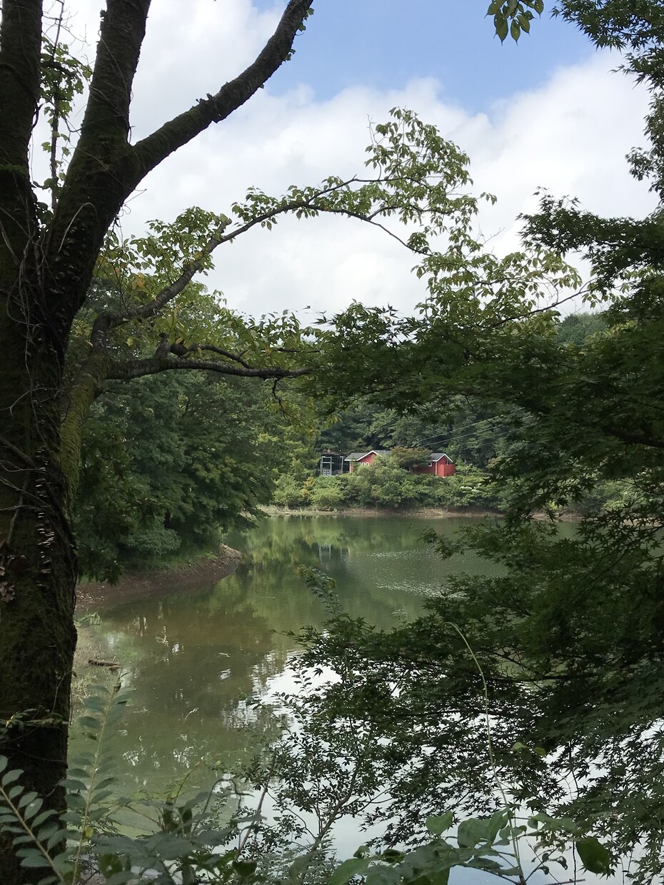 離婚したい..熟年離婚を経験した私が相談にのります 「この結婚は失敗だったかも？」と思っていたら一緒に考えよう！ イメージ9