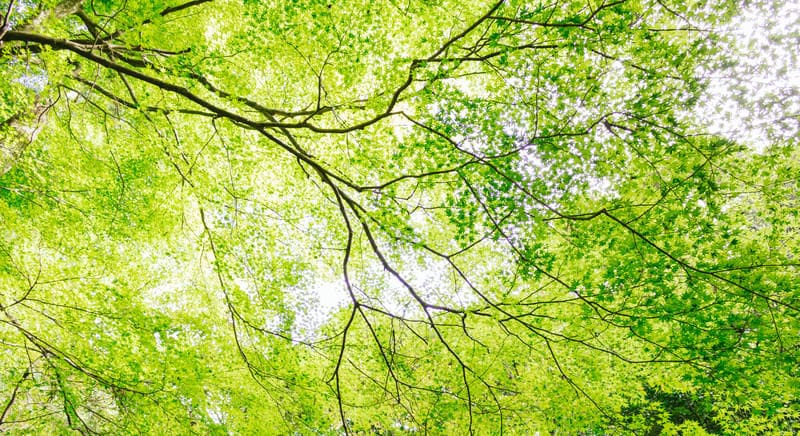 片思いのお相手の本音と未来│あなたの想いを導きます 恋の可能性を読み解きます／諦めたくない未来を手にするために イメージ6