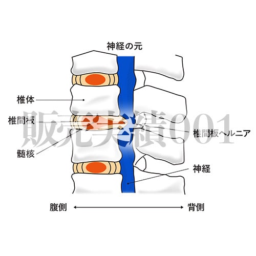 １５００円でバナーWEB画像を作ります ＳＰツール制作会社デザイナー実務３年のプロが作る格安バナー イメージ9