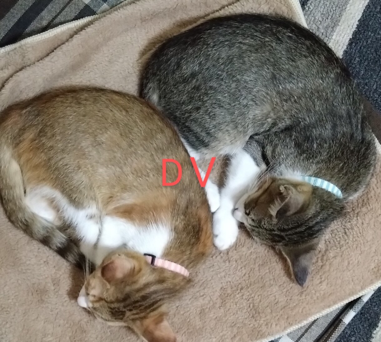 精神的にしんどいなどアドバイスします 経験してきたからこそアドバイスできます イメージ4