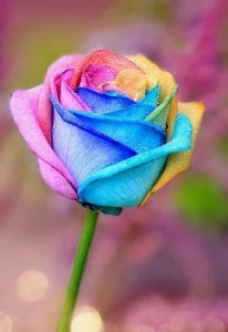 貴女の悩みを一気に解消します 未来を自分で思い通りに変えていきませんか？ イメージ1