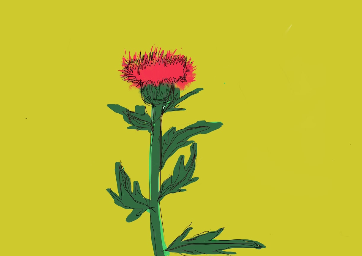 手書きの生命力あふれる植物イラストを描きます 絵本、チラシなどにいかがでしょうか。 イメージ2