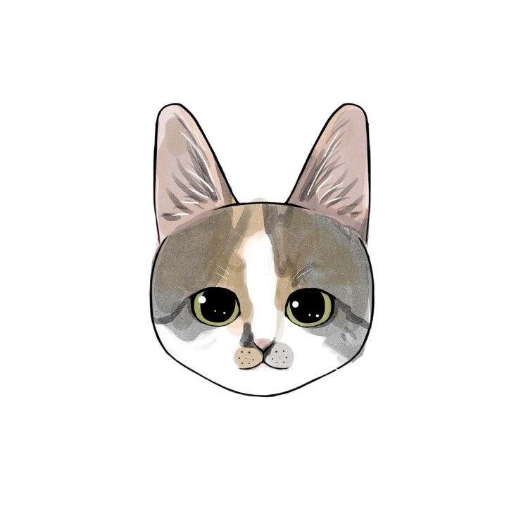 ねこちゃんの似顔絵作成します おうちの猫ちゃんのイラストを描きます イメージ4