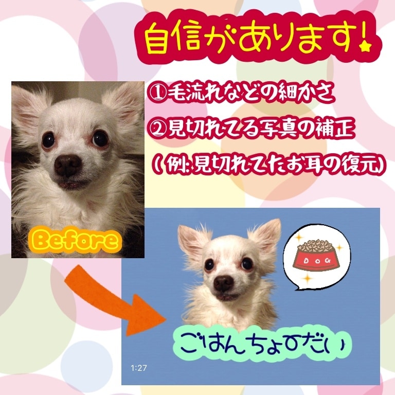 お子様・ペットの写真からLINEスタンプ作成します 作成〜申請まで全過程込み！実績あります！サンプル無料☆ イメージ3