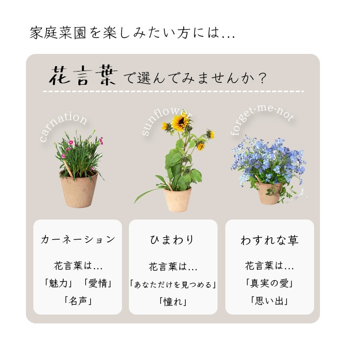 思わず買いたくなるようなEC商品画像を制作します 商品の強みをわかりやすく伝えられる画像を作りたい、あなたに！ イメージ10