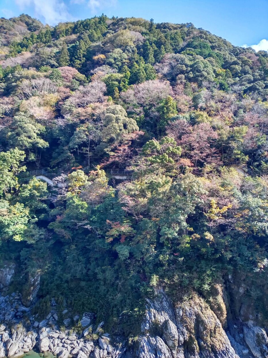 香川の観光地・観光名所・グルメの撮影代行をします そこに住む人でないとわからない絶景・グルメの写真を撮影します イメージ3