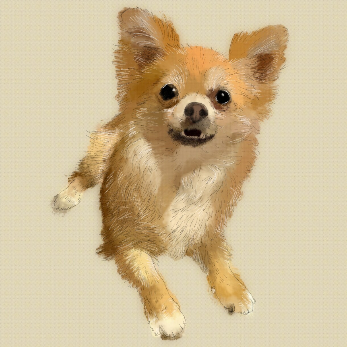 あなただけのペットアートを描きます 力強い鉛筆の線と水彩で仕上げます！ イメージ2