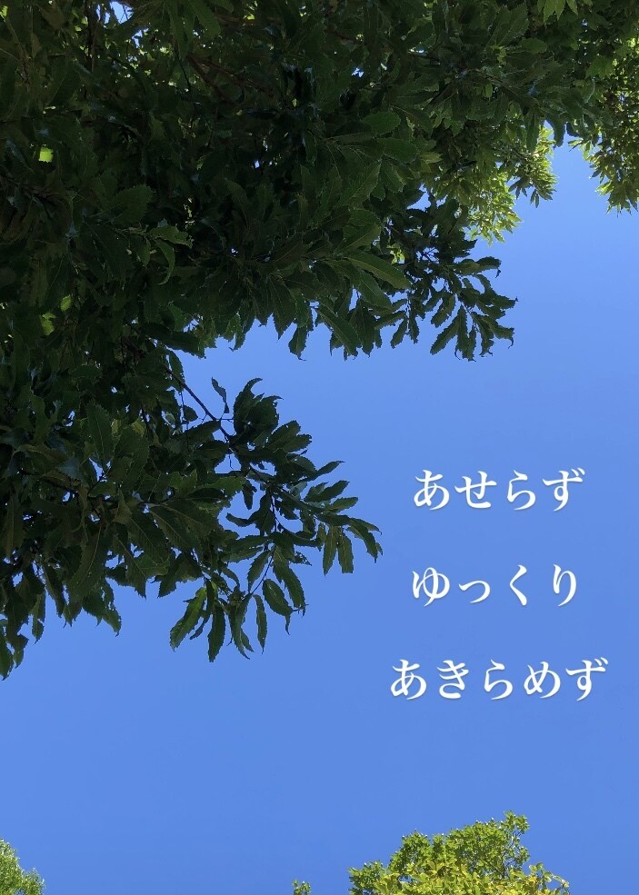 発達ゆっくりな子の成長を促す方法を教えます 発達ゆっくりな子の成長を促すちょっとした工夫をお伝えします。 イメージ1