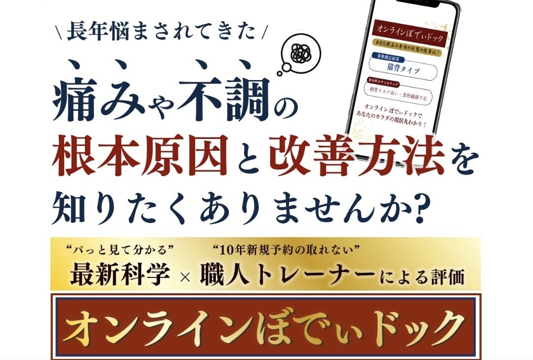 長年の不調やお悩みの根本原因測定します オンラインパーソナルで最新科学と職人トレーナーによる評価 イメージ1