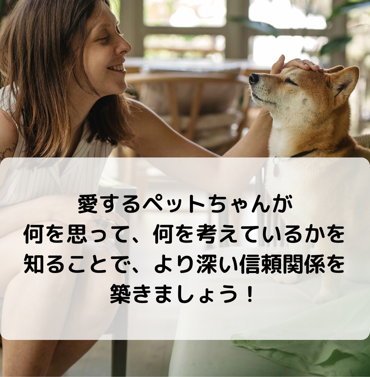 愛するペットの本音を知りたい！サクサク鑑定します 【先着10名様！】実績4600件のスピード鑑定♪ イメージ6