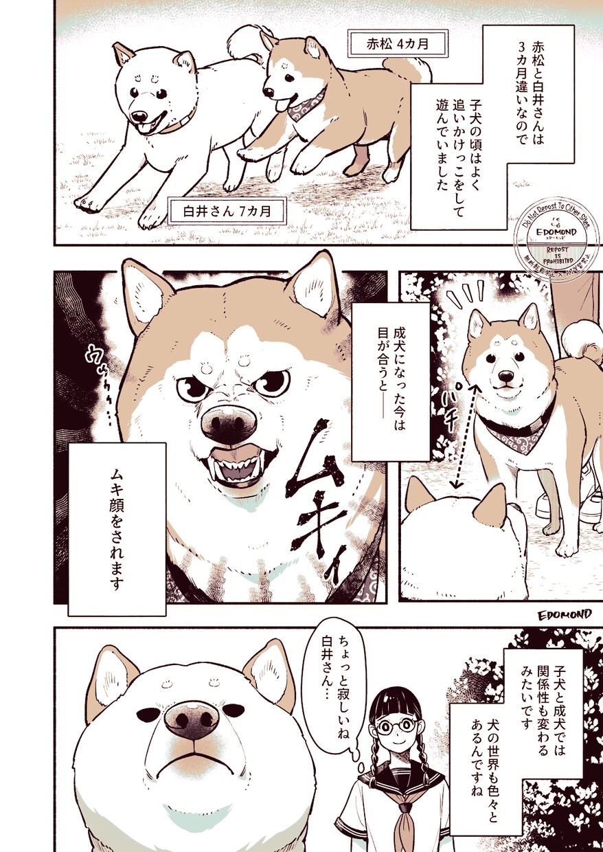 モノクロ・カラー漫画制作します 商用・同人誌にもご利用いただけます！ イメージ4
