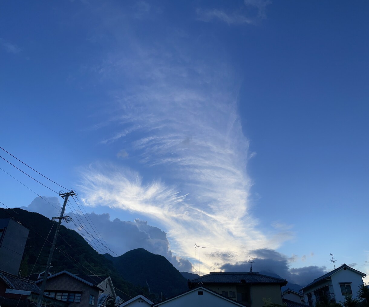 5分からでも！良い感じにお話し聞きます ちょっとした相談相手が欲しい時に電話ください＾v＾ イメージ1