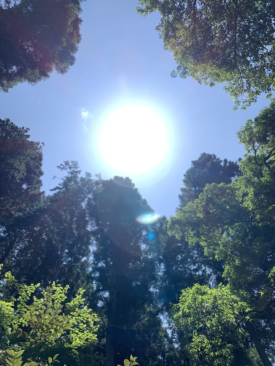 わかってほしい！この気持ち。お聞きします とにかく聞いてほしい！理解してほしい！そんなお話お聞きします イメージ4