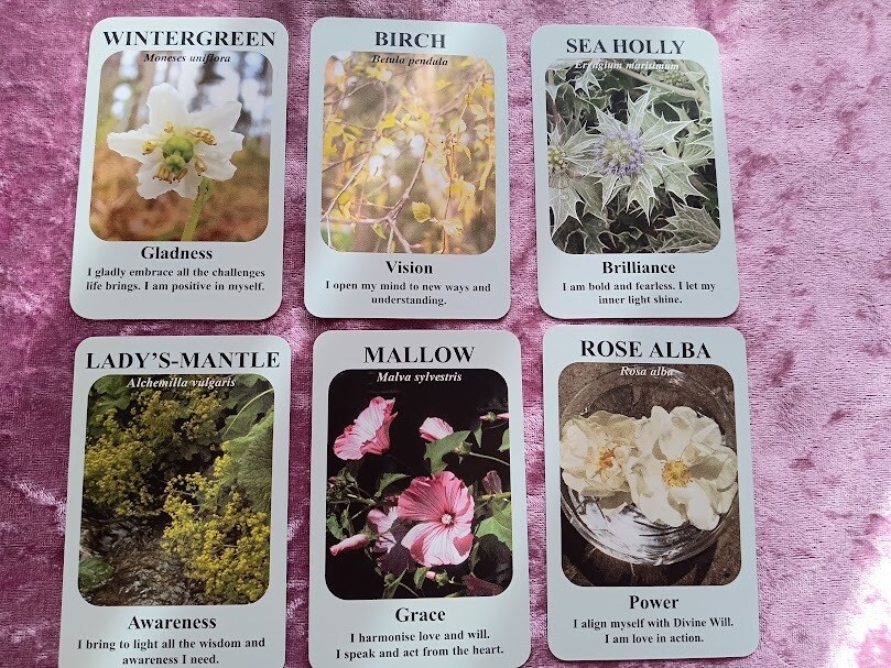 未来の花が咲く占い⚘あなたの道しるべを見つけます 「花が導く未来の占い⚘癒しと気付きをお届けします」 イメージ6