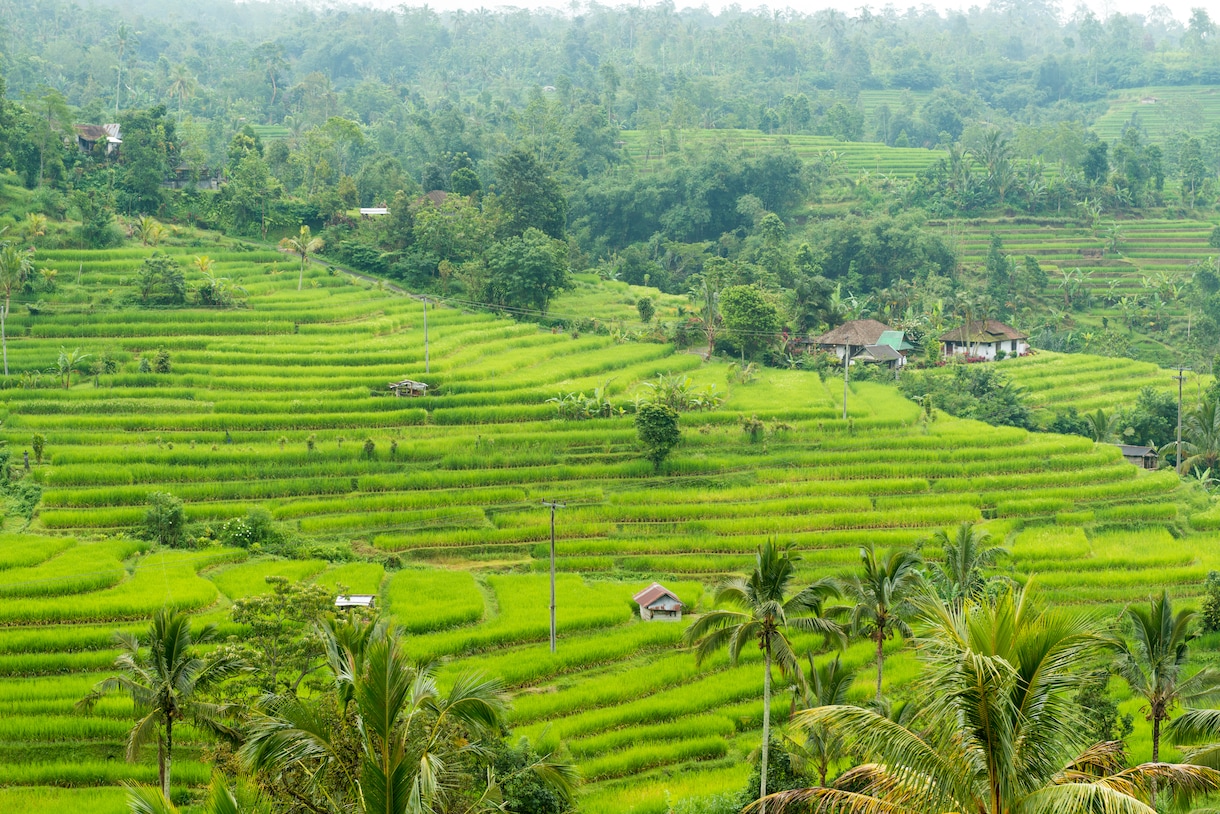 バリ島旅行相談にのります インドネシア在住歴のある私がおすすめスポットをご紹介します！ イメージ1