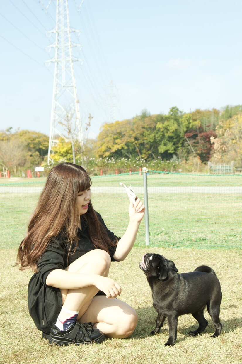わんちゃんのしつけのご相談承ります 動物専門学校卒業、元動物看護師がしつけ教室します！ イメージ4