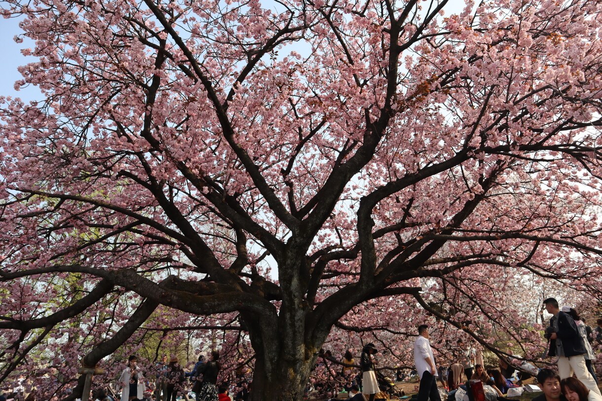 あなたの心に残るフォトをお届けします 自然体を生かし、一枚の写真で人の心を動かす写真家 イメージ7
