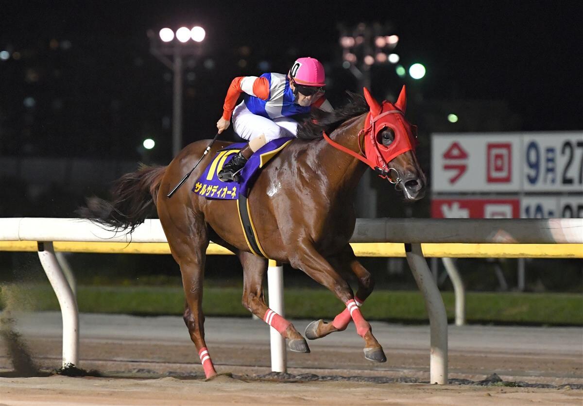 地方競馬、本日の推奨馬を教えます 南関東競馬に特化した本日の推奨馬の一覧になります。 イメージ1