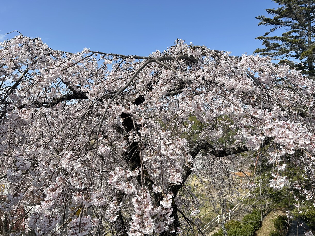 あなたのお悩み聞きます なんでも大丈夫です。お悩みに限らず、お話ください。 イメージ1
