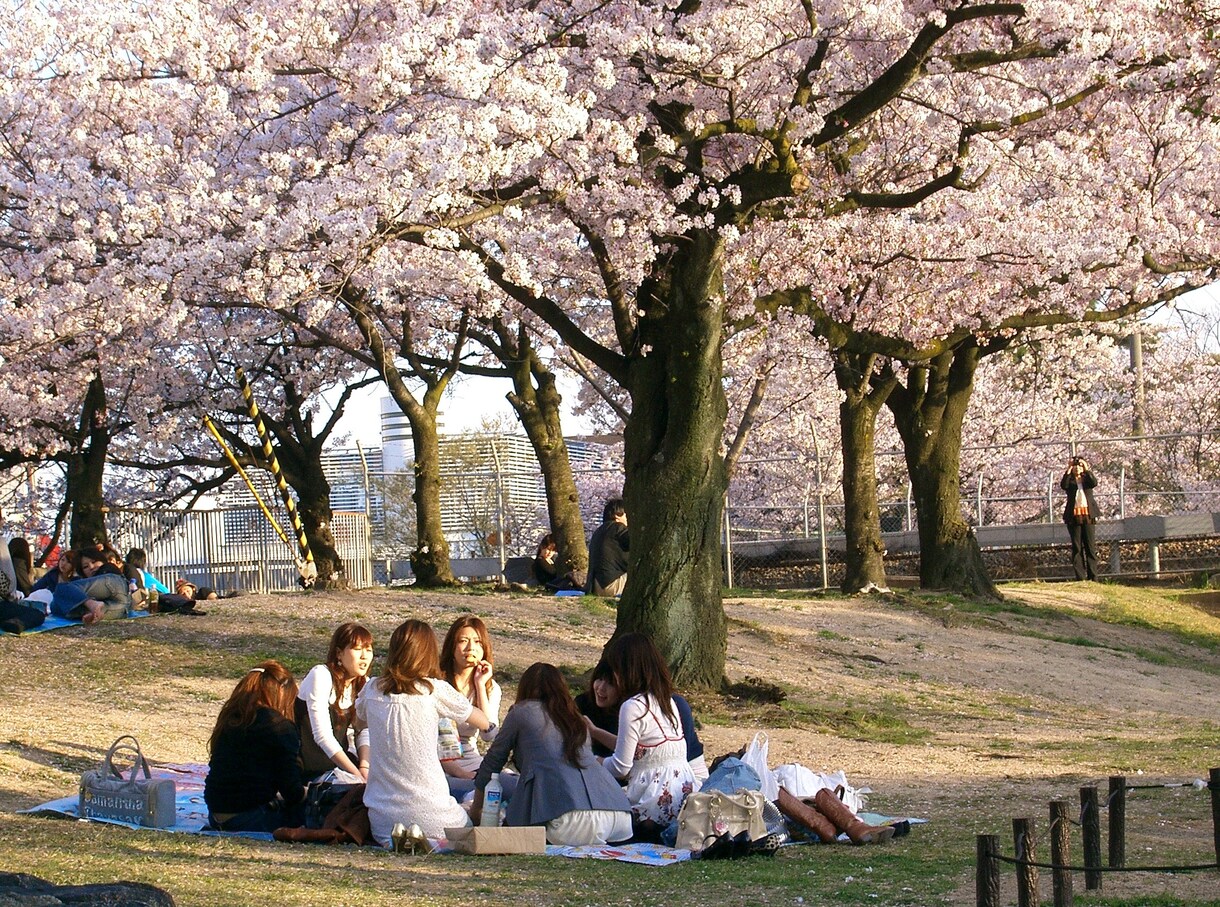 人との距離感がわからない？親しくなるコツを教えます 人間関係を良くするには人が持っている習性を知る事が大切です！ イメージ8