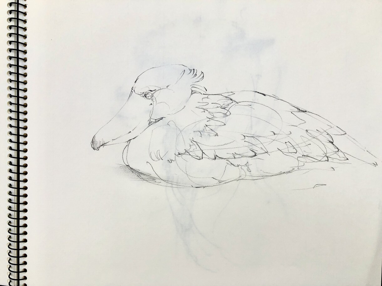 現役藝大がペットの似顔絵をお描きします 藝大生がお客様のペットをご希望のテイストでお描きします。 イメージ9
