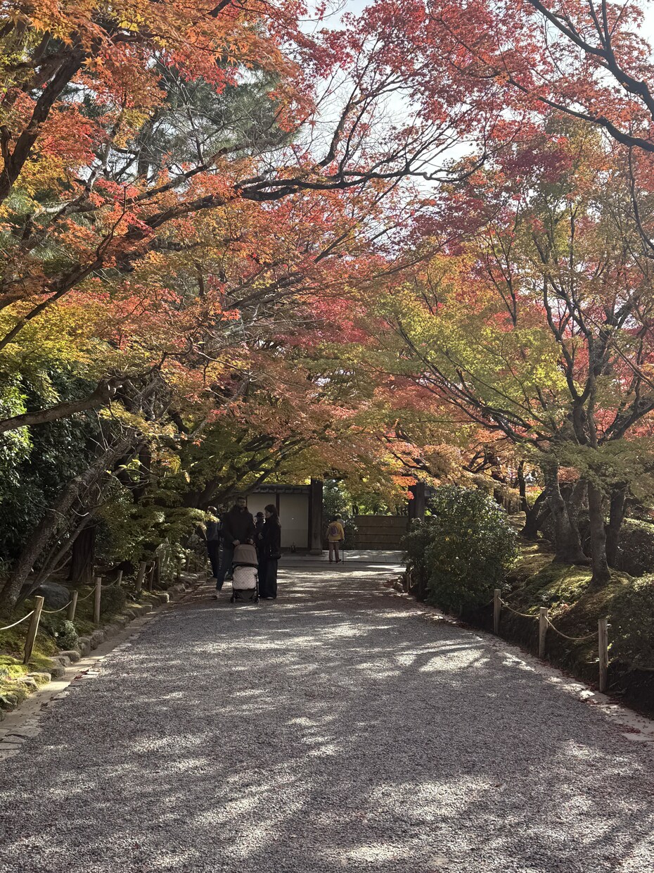 京都記事を取材・撮影・構成から一括制作します 京都観光15年、現地取材・写真撮影・記事制作まで対応 イメージ4