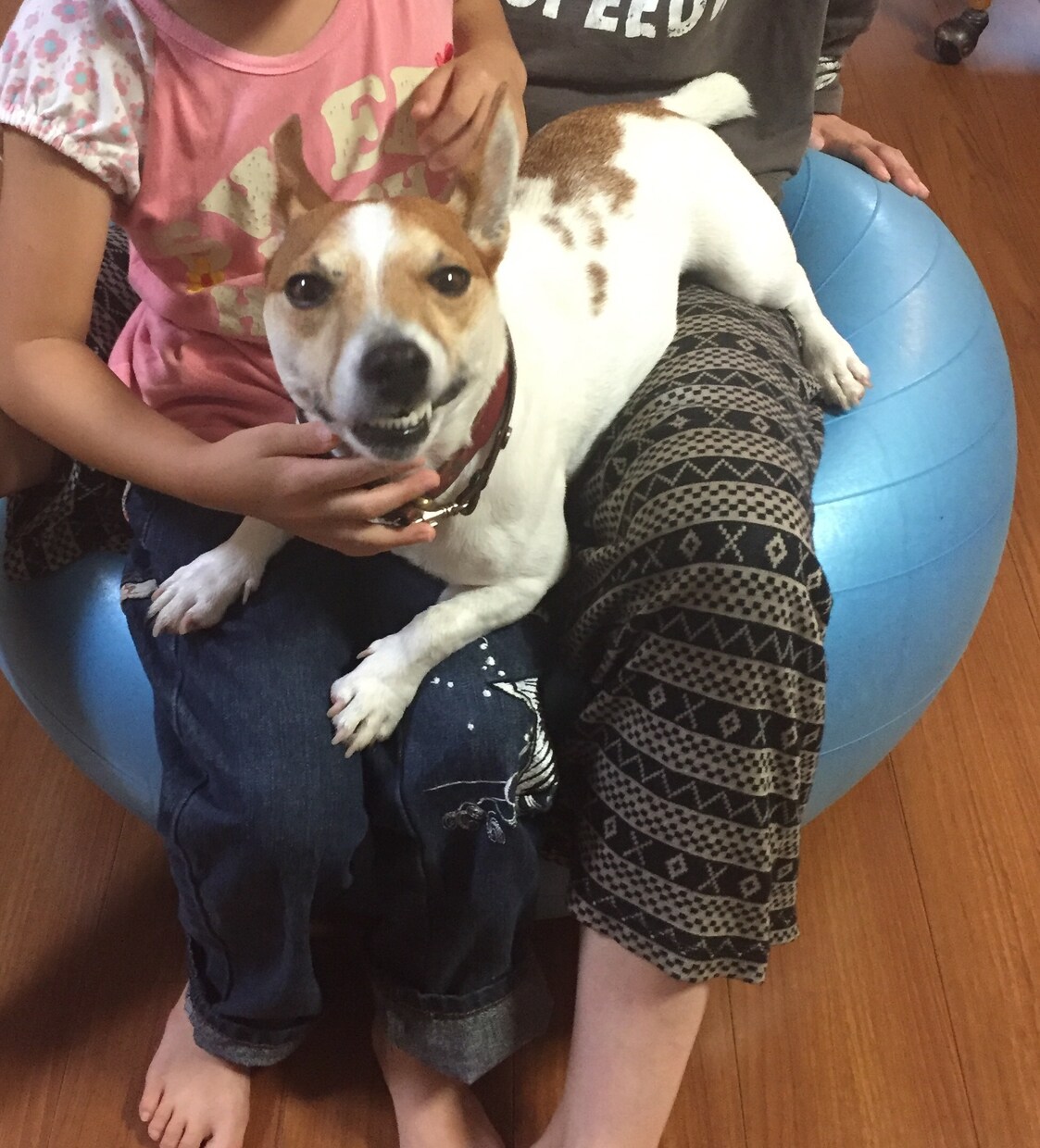 初出品！！犬を飼う魅力を伝えます はじめて犬を飼うことを考えている方へ イメージ1