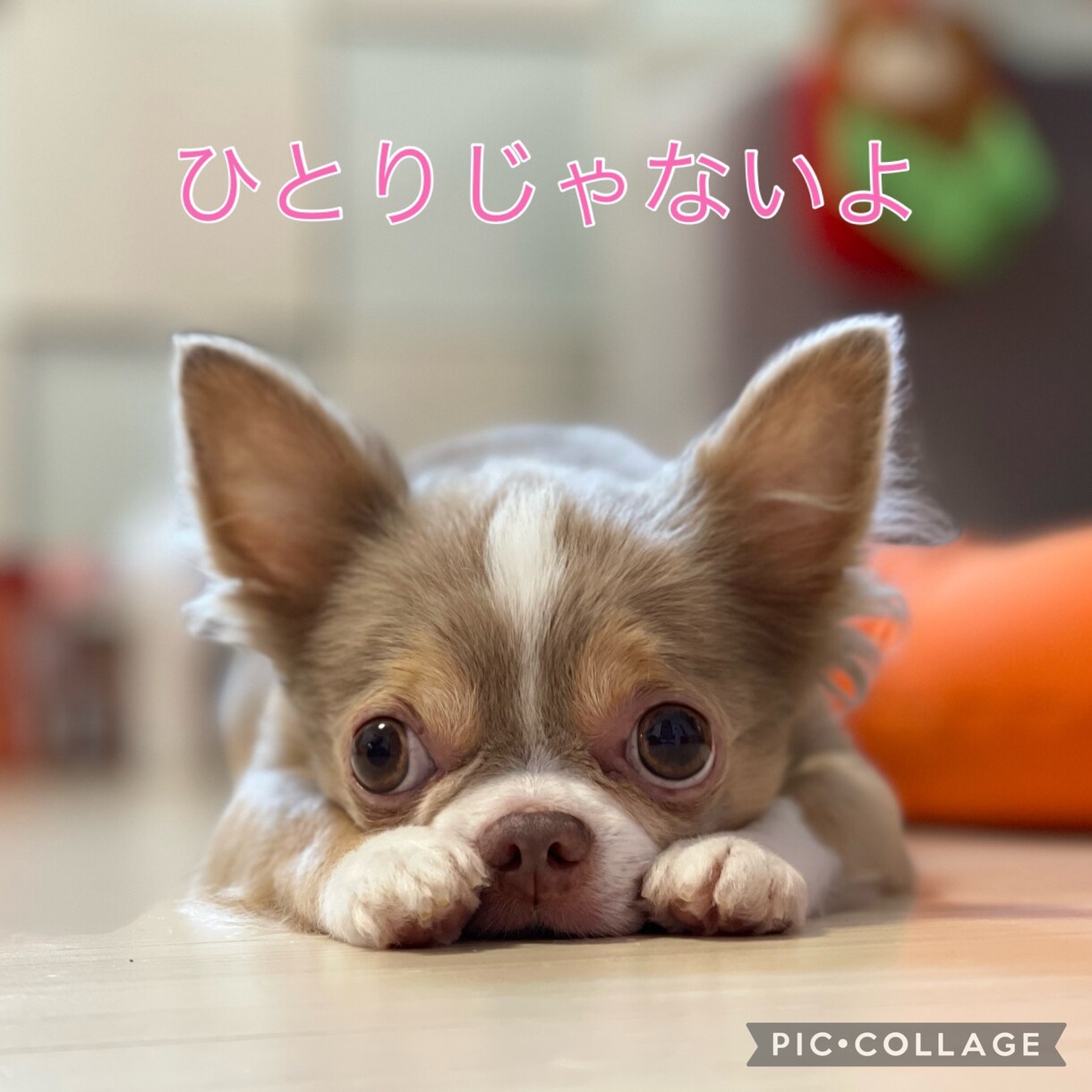何でも聴きます 話すって大事。聴いてもらうって大事。きっと楽になる。 イメージ1